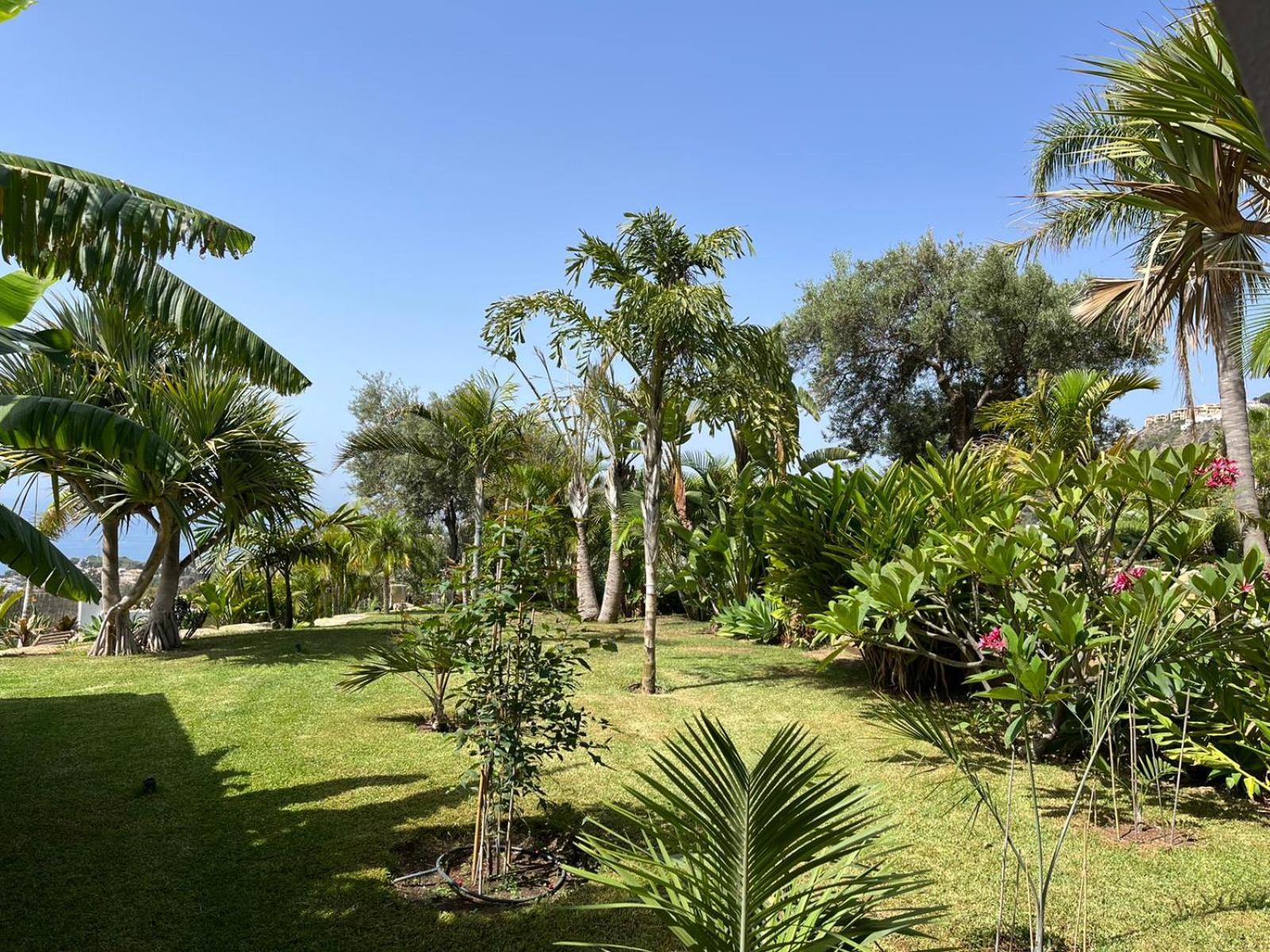 Bed & Breakfast In Villa Eden Palm Benalmadena Ngoại thất bức ảnh